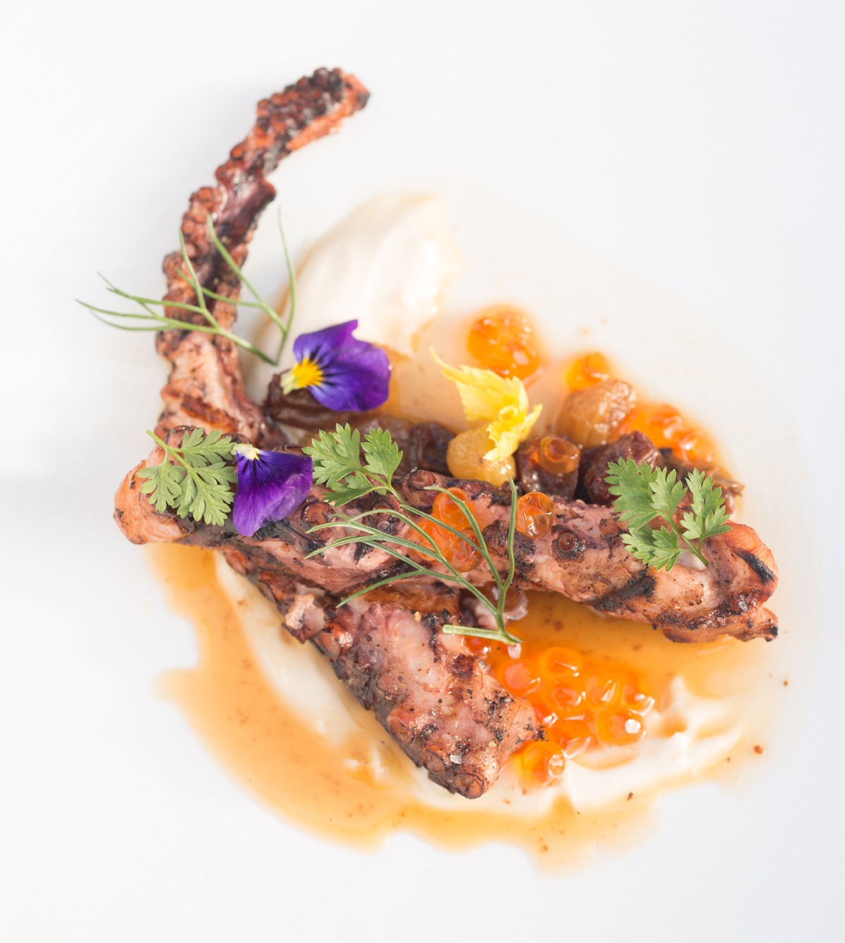 Char-Grilled-Octopus